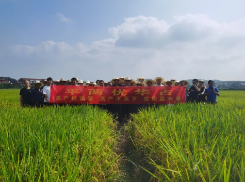 湖南興隆種業(yè)有限公司,長沙稻谷種植與銷售,長沙農(nóng)作物品種的選育,長沙農(nóng)業(yè)病蟲害防治服務(wù)